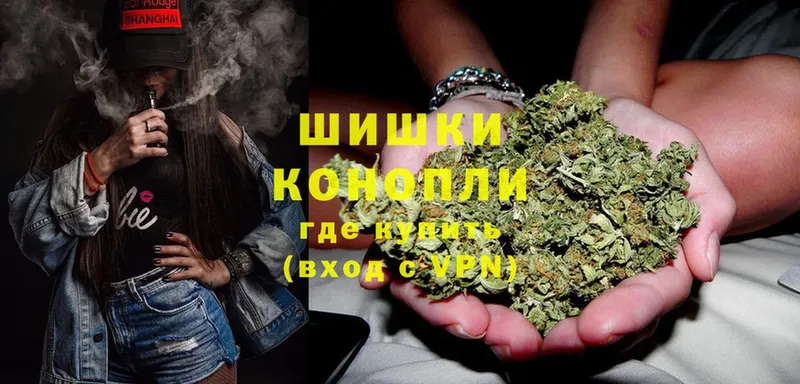 Бошки марихуана White Widow  хочу наркоту  kraken как зайти  Выборг 